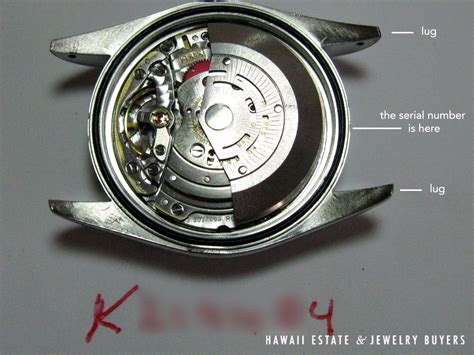 rolex movement serial numbers|Rolex serial number engraving.